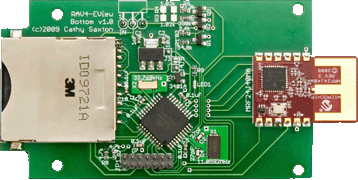 bottom board